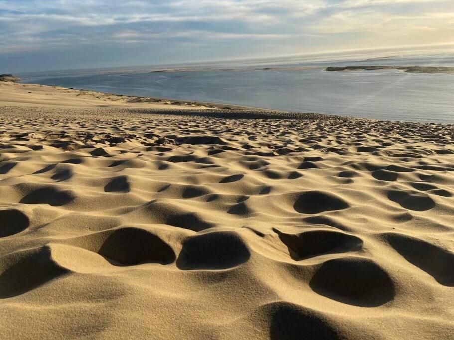 Villa Arcachon 12 Pers Avec Piscine Chauffee 1 Mai Au 30 Sept Esterno foto