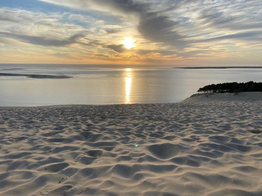 Villa Arcachon 12 Pers Avec Piscine Chauffee 1 Mai Au 30 Sept Esterno foto